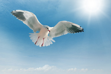 Similar image 7097667