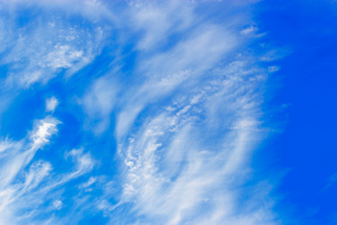 Similar image 7099009