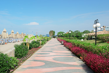 Similar image 7112347