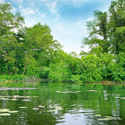 Similar image 7112349