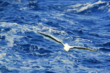 Similar image 7112681