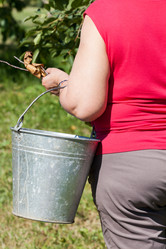 Similar image 7113111