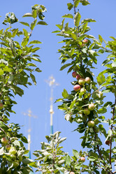 Similar image 7113112