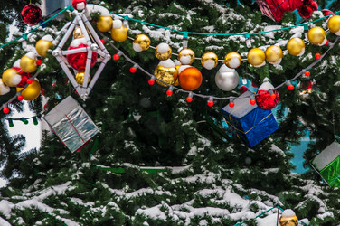 Similar image 7114833