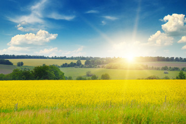 Similar image 7115654