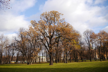 Similar image 7116718