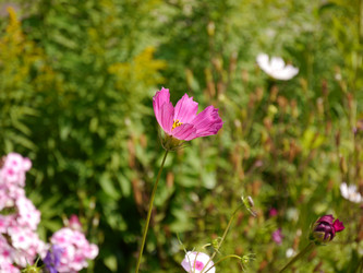 Similar image 7116720