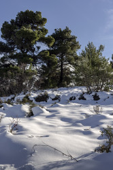 Similar image 7139643