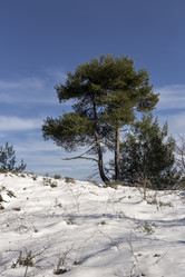 Similar image 7139645