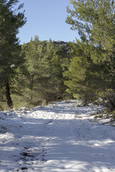 Similar image 7139724