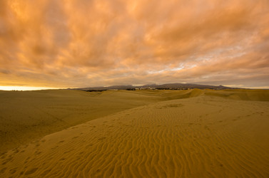 Similar image 7139866