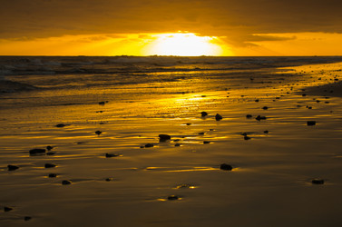 Similar image 7139872