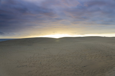 Similar image 7139873