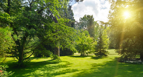 Similar image 7139887