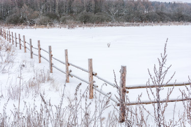 Similar image 7140006