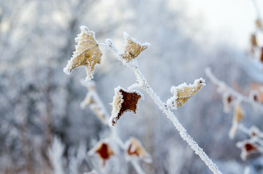 Similar image 7141270