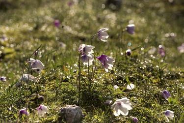 Similar image 7142735