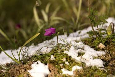 Similar image 7142736