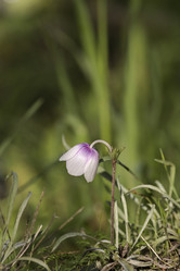 Similar image 7142738