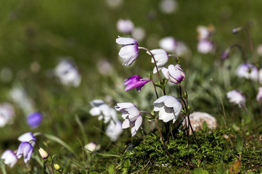 Similar image 7142739