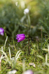 Similar image 7142740