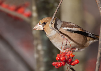 Similar image 7143340