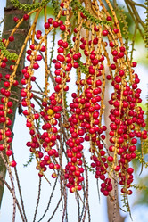 Similar image 7152203