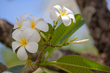 Similar image 7152257