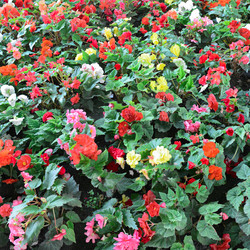 Similar image 7152272