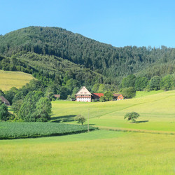 Similar image 7152276