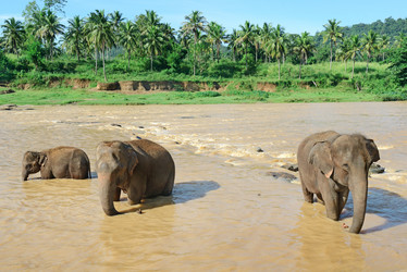 Similar image 7152277