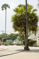 Similar image 7152447