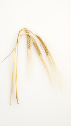 Similar image 7152449