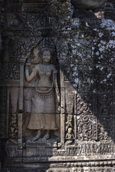 Similar image 7154821