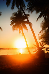 Similar image 7154853