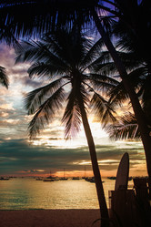 Similar image 7154854