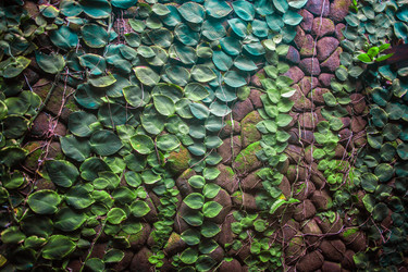 Similar image 7154888