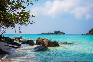 Similar image 7154894