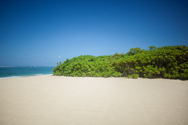 Similar image 7154920