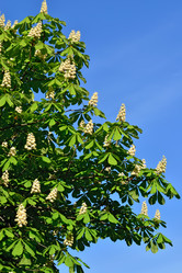 Similar image 7171556