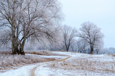 Similar image 7171594