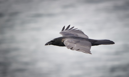 Similar image 7171694