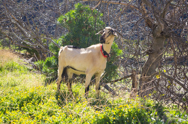 Similar image 7171718