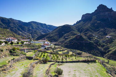 Similar image 7171719