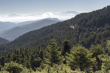 Similar image 7171764