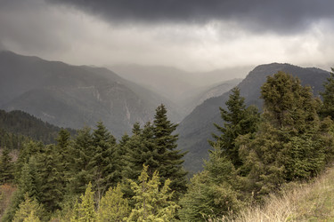 Similar image 7171766