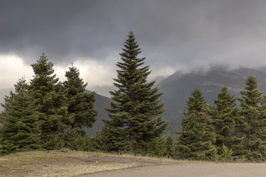 Similar image 7171767