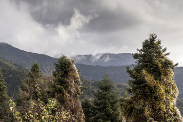 Similar image 7171768