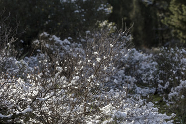 Similar image 7171772