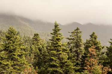 Similar image 7171774